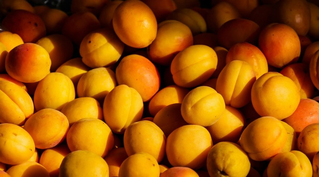 Ripe Now Ltd
